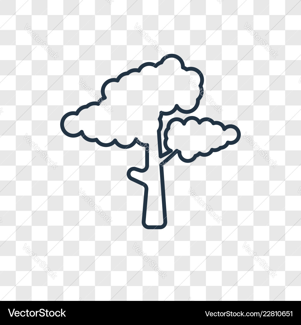 Tree concept linear icon isolated on transparent Tree concept linear icon isolated on transparent vector image