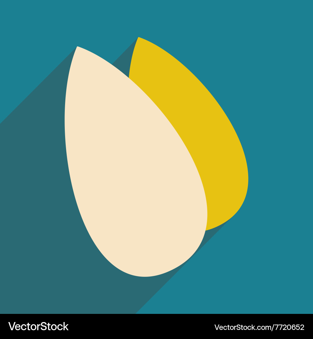 Flat with shadow icon and mobile application vector image