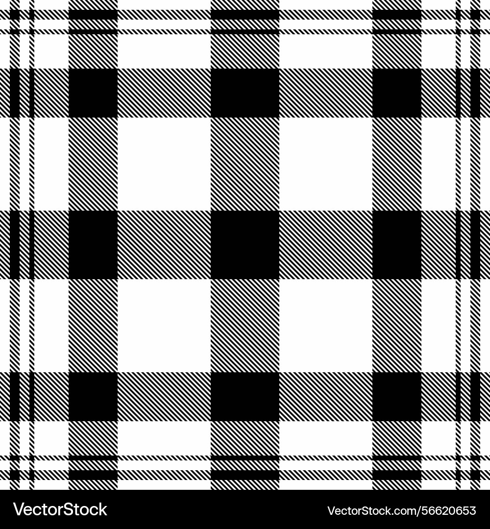 Graphical texture seamless fabric basic pattern vector image
