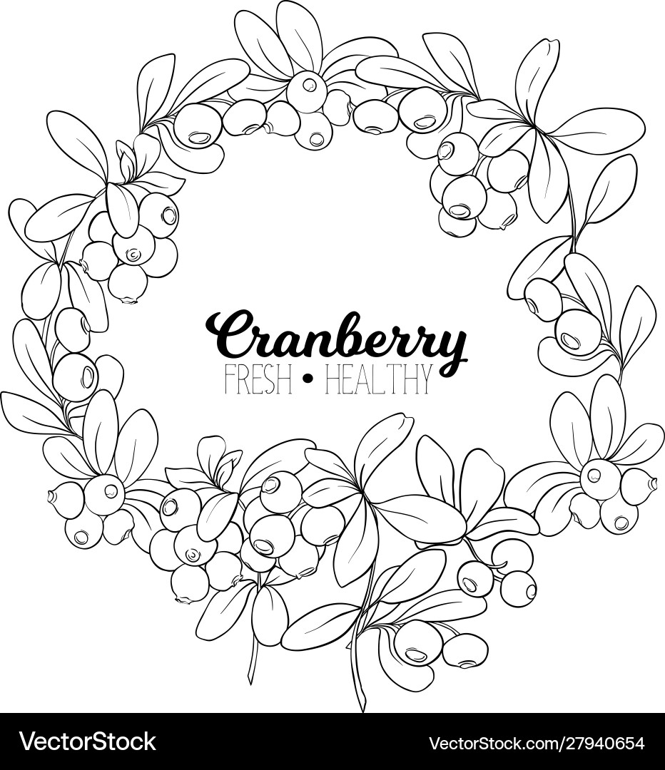 Cranberry element for design Vector Image