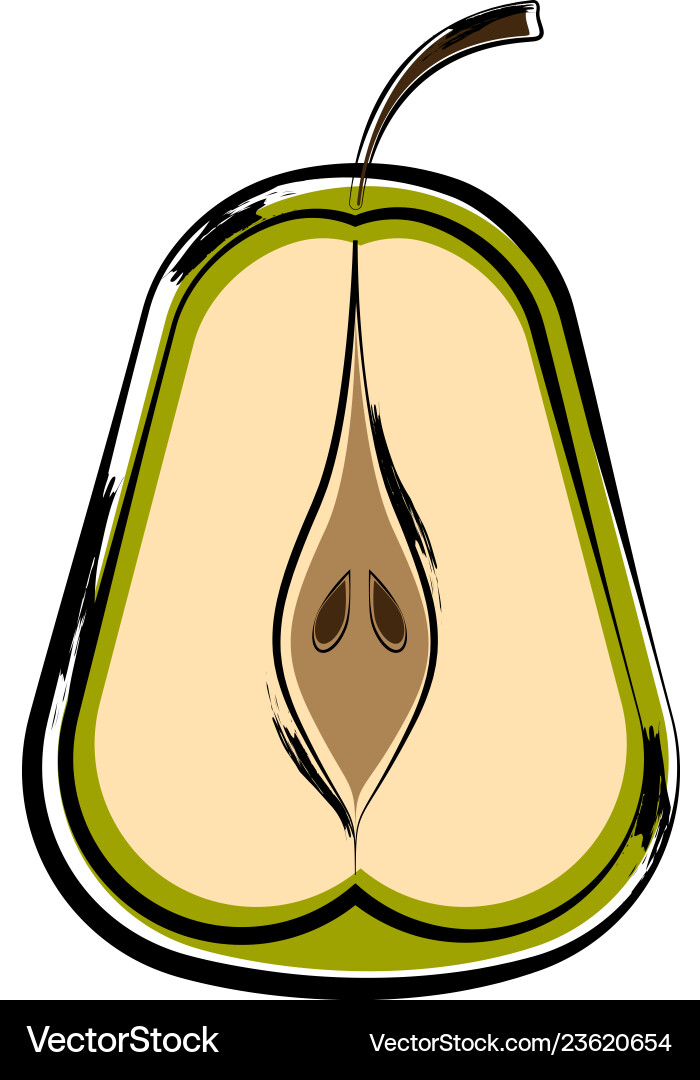 Sketch of a front view cut pear Vector Image