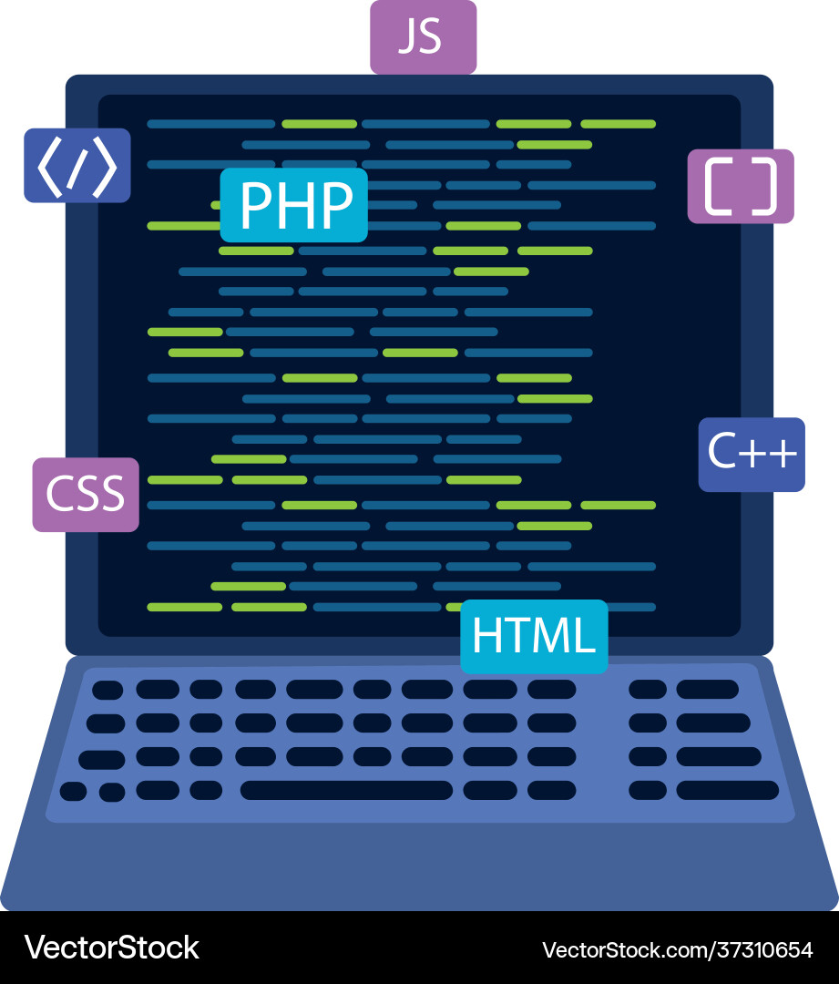 Web development coding Vector Image