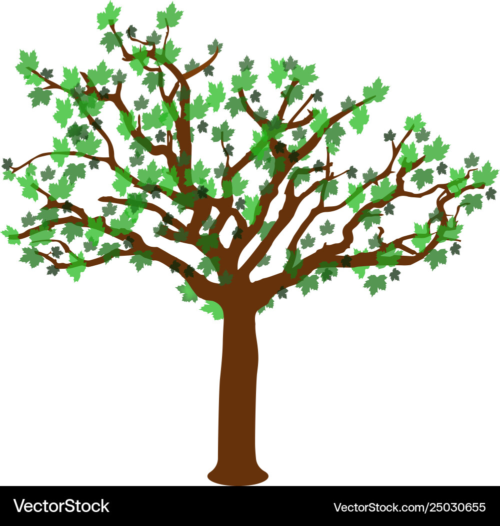 Colorful spring tree – Royalty-Free Vector | VectorStock