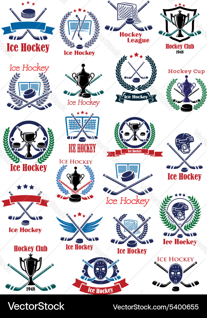 Ice Hockey Icons & Elements vector image