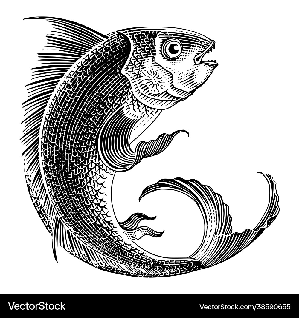 Vintage Fish Engraving - Jumping Sea Creature Vector Image