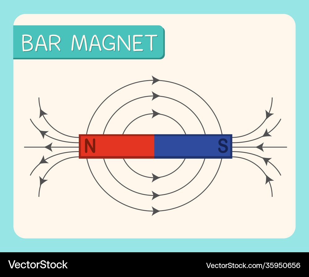 Bar magnet diagram for education Bar magnet diagram for education vector image