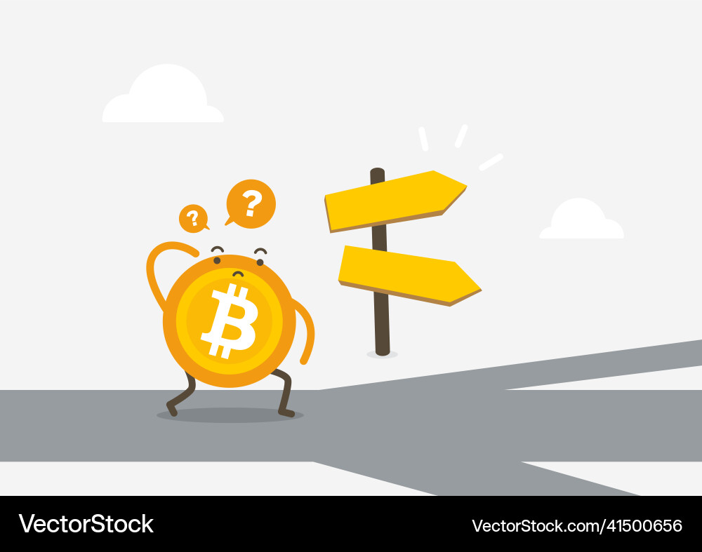 Bitcoin in front of a choice the way Bitcoin in front of a choice the way vector image