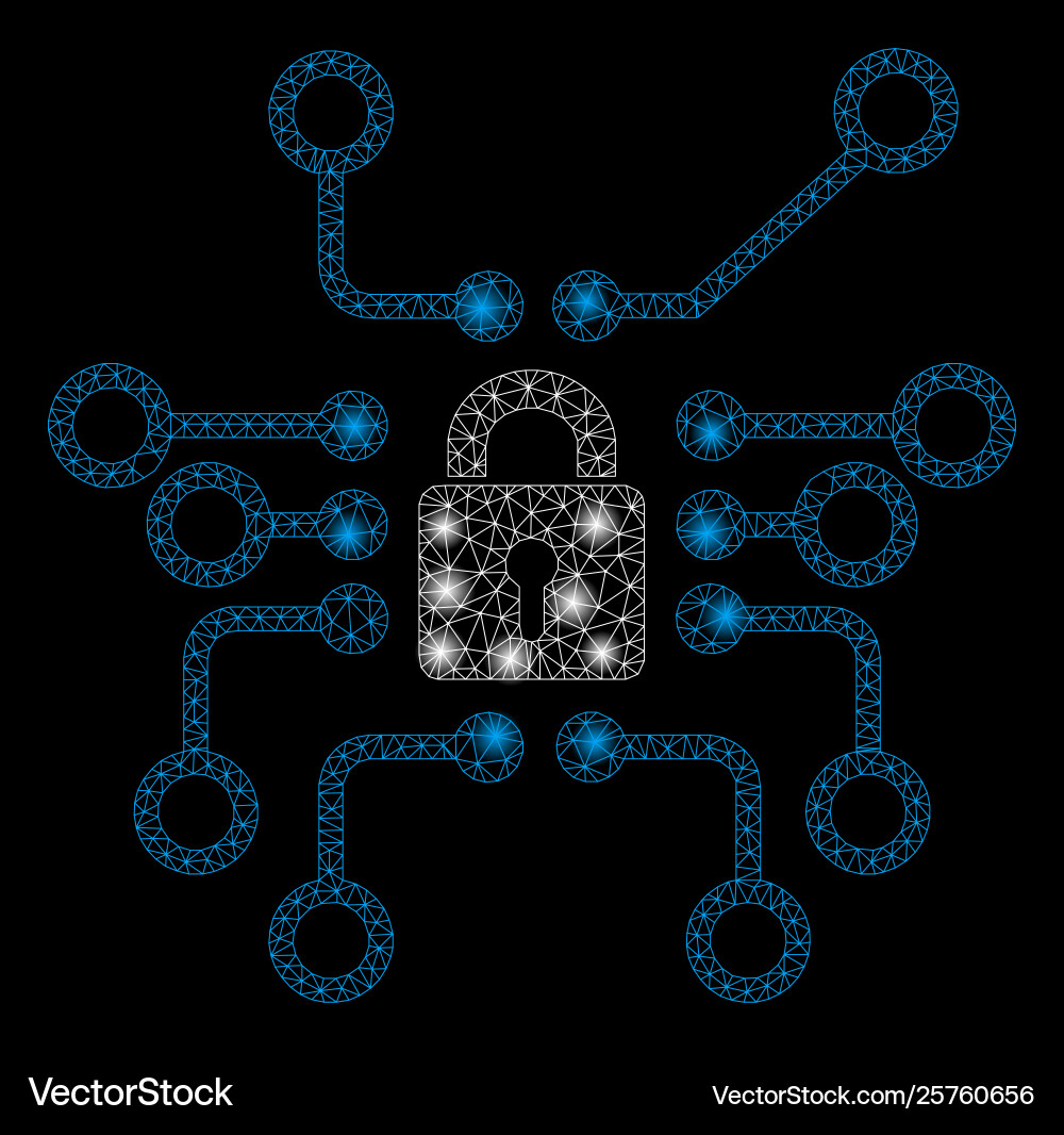 Dynamic Mesh Cryptography with Light Spots vector image