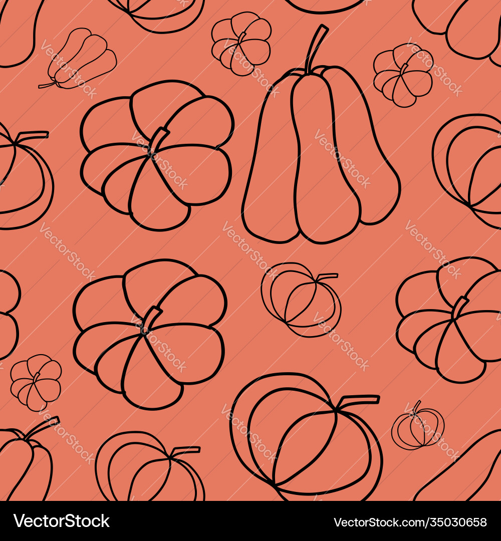 A pattern contours different types A pattern contours different types vector image