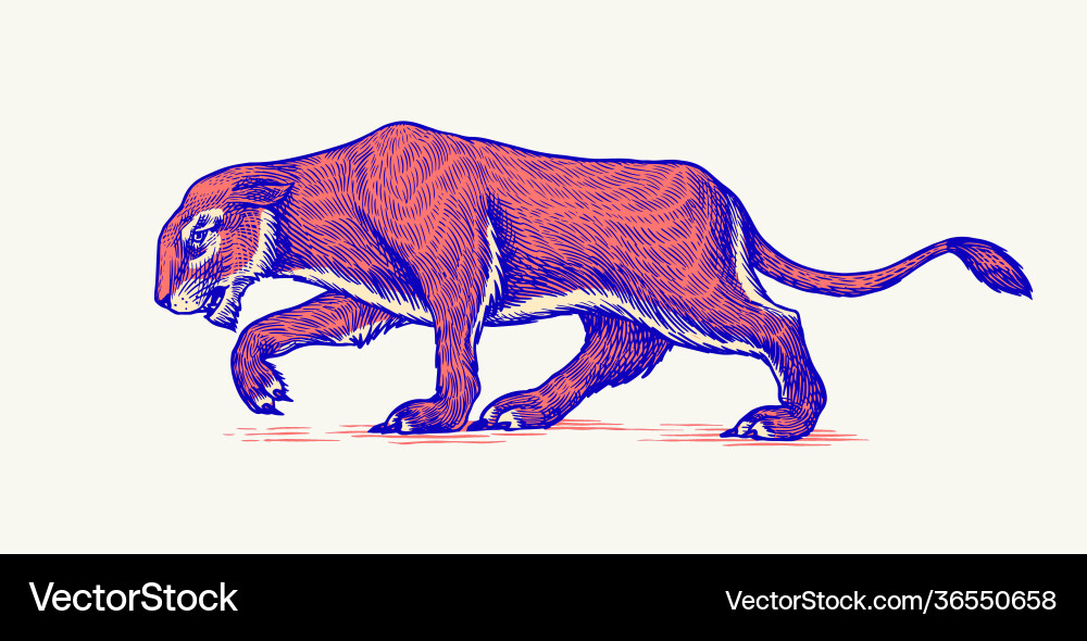 European cave lion panthera spelaea extinct European cave lion panthera spelaea extinct vector image