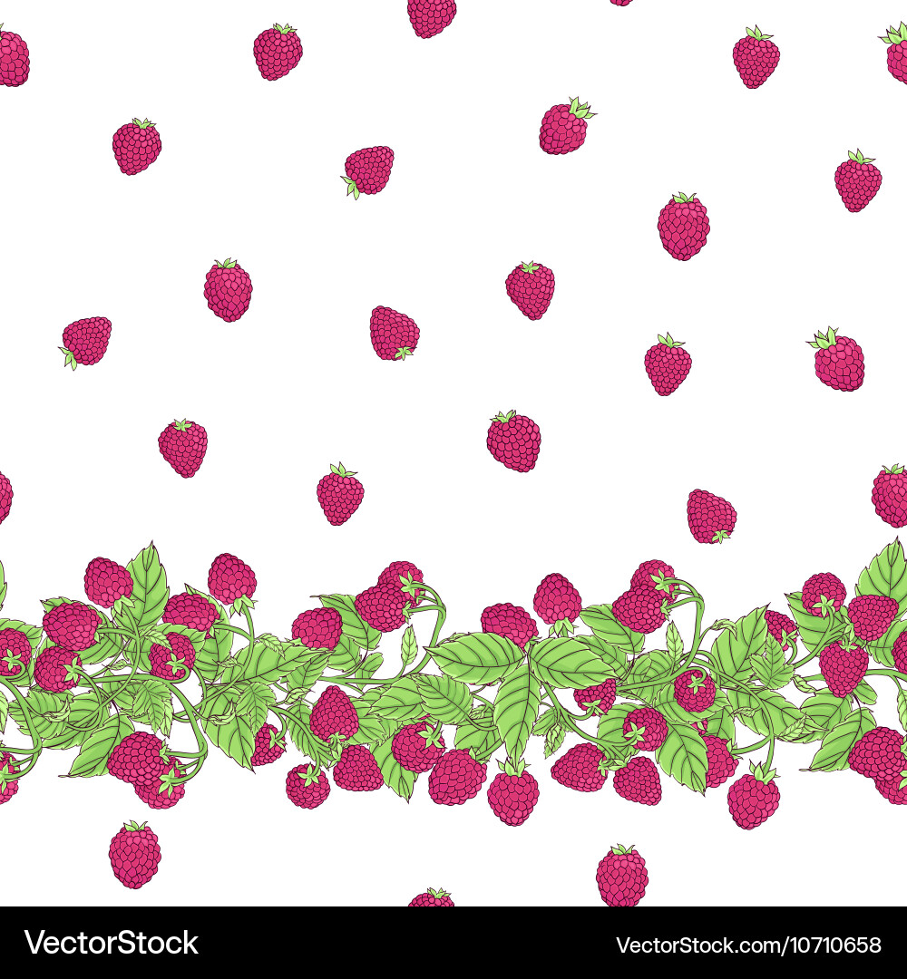 Pattern raspberry border Vector Image