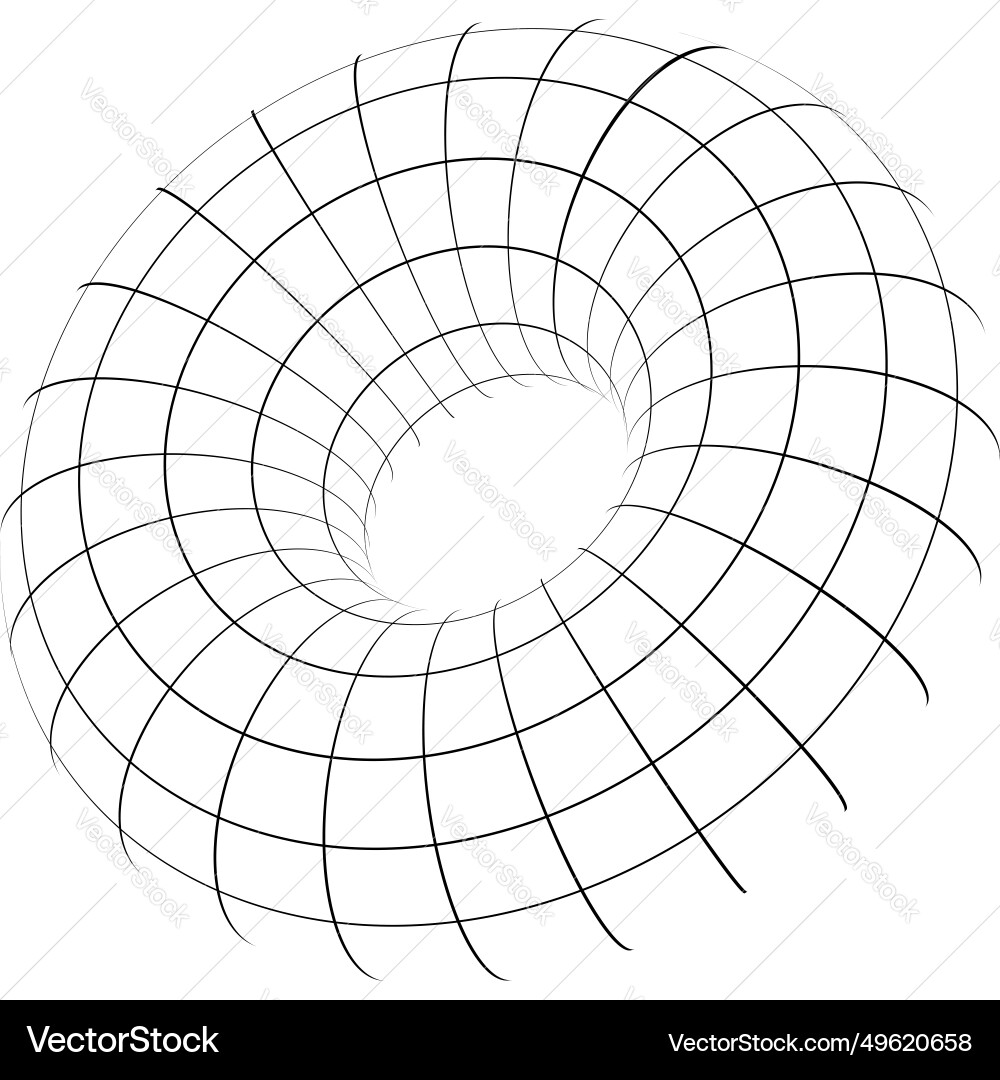 Torus wireframe abstract geometric shape Torus wireframe abstract geometric shape vector image