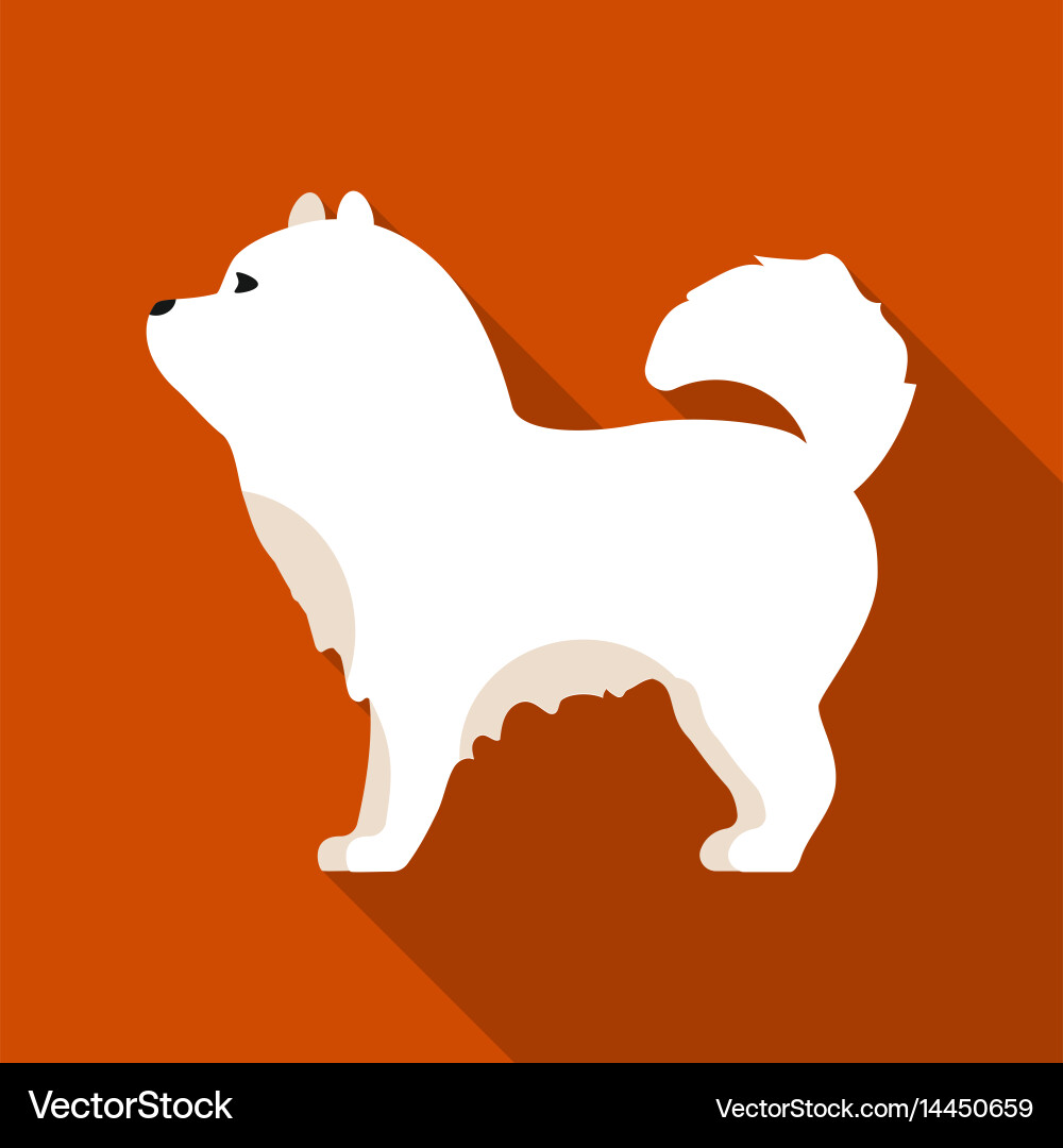 Chow-chow icon in flat style for web vector image