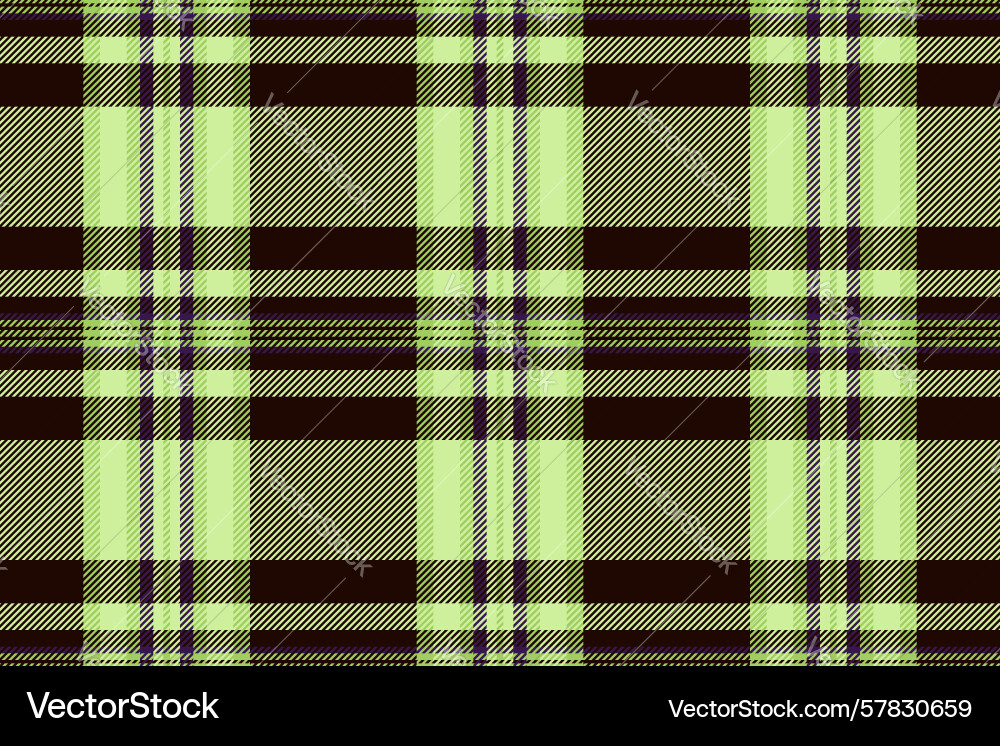 Detailed plaid pattern with intersecting lines Detailed plaid pattern with intersecting lines vector image