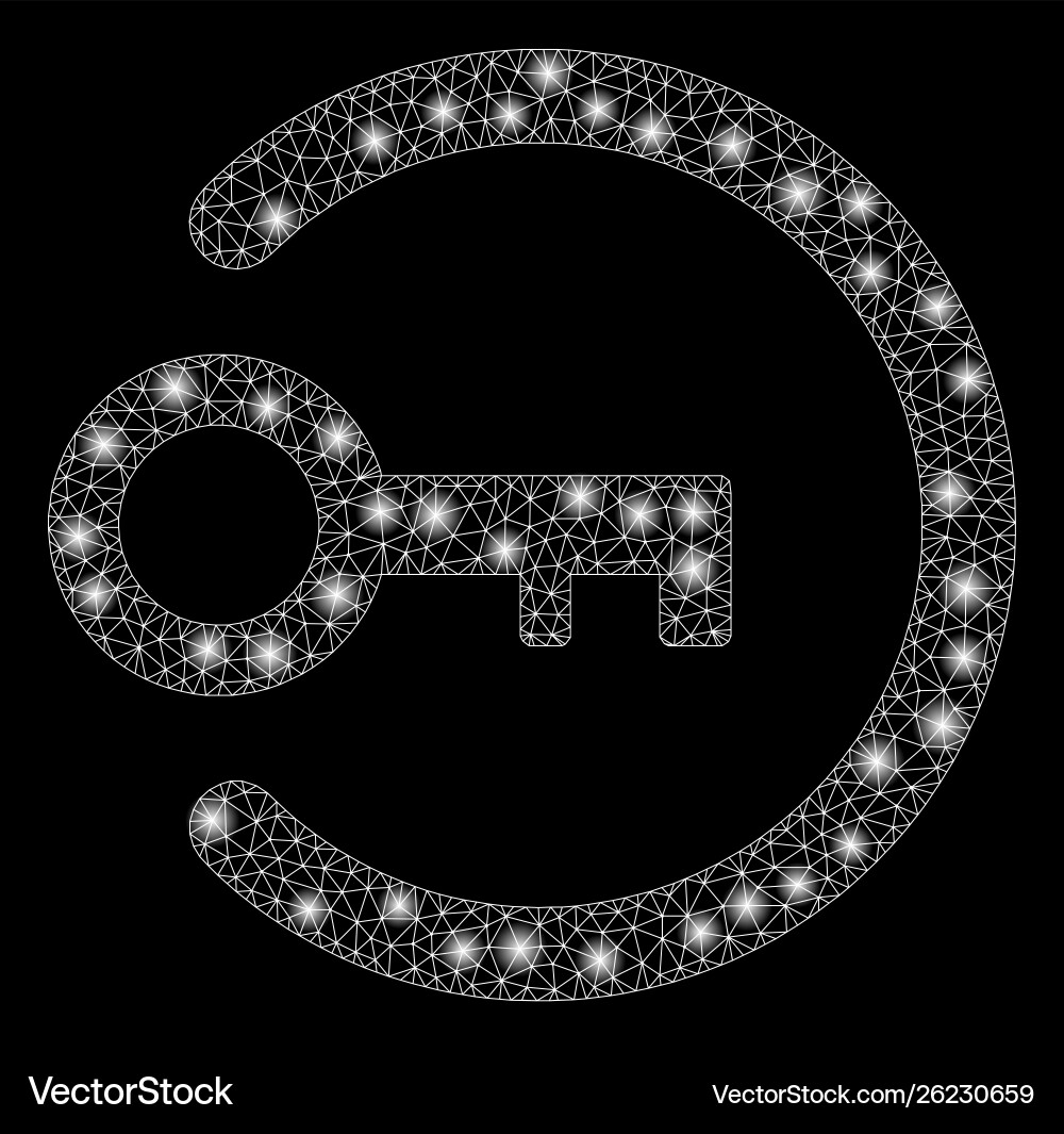 Flare mesh network login key with spots Vector Image