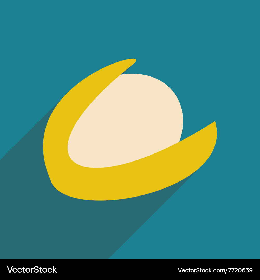 Flat with shadow icon and mobile application Vector Image