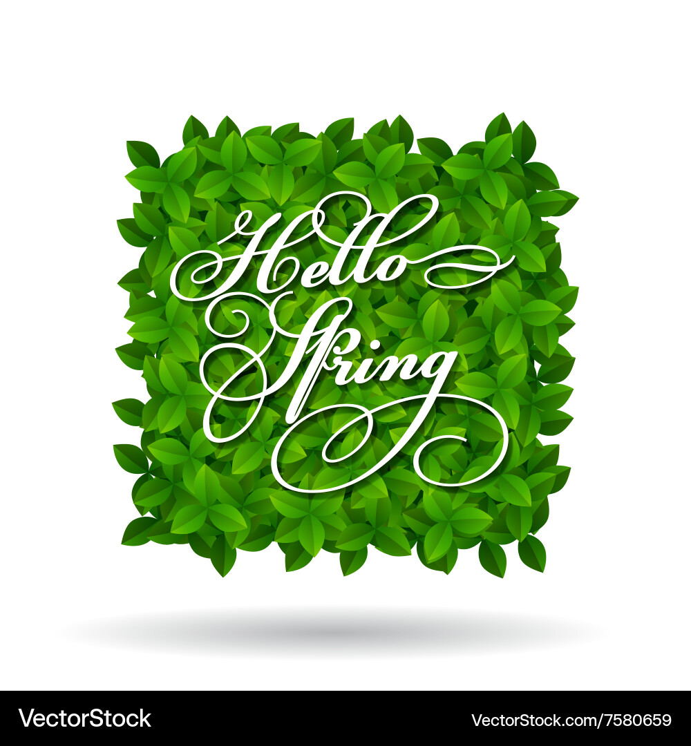 Hello spring greeting in squar shape Vector Image
