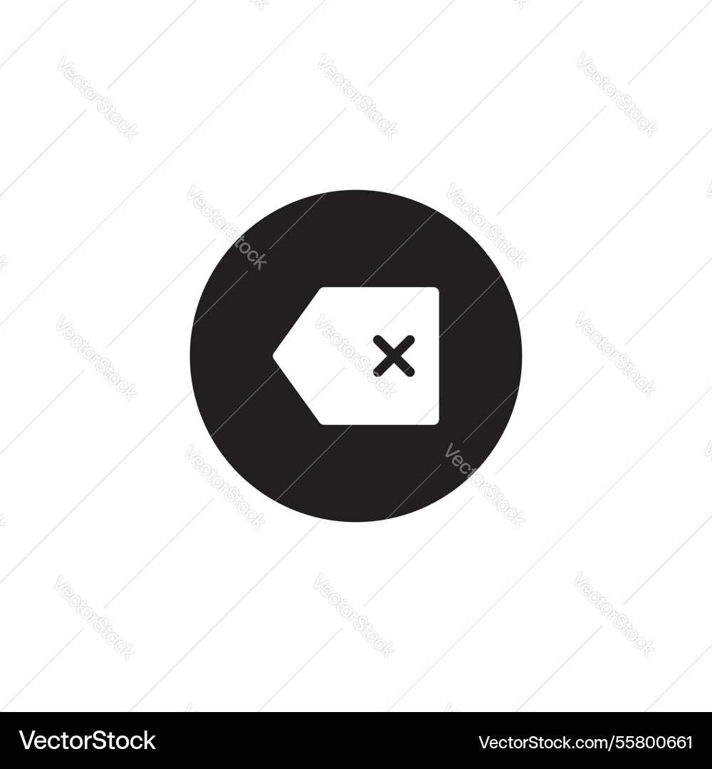 Backspace icon delete button Backspace icon delete button vector image
