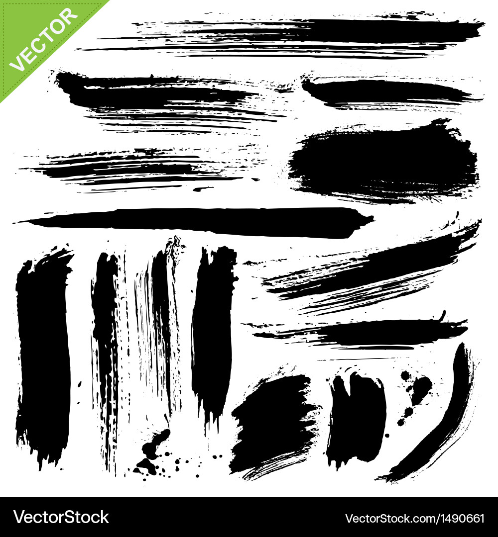 Brush strokes Royalty Free Vector Image - VectorStock