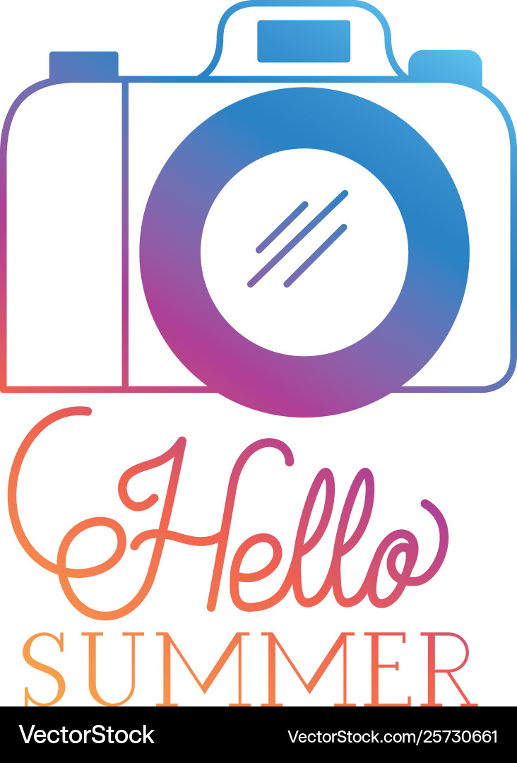 Hello summer label with colorful image Vector Image