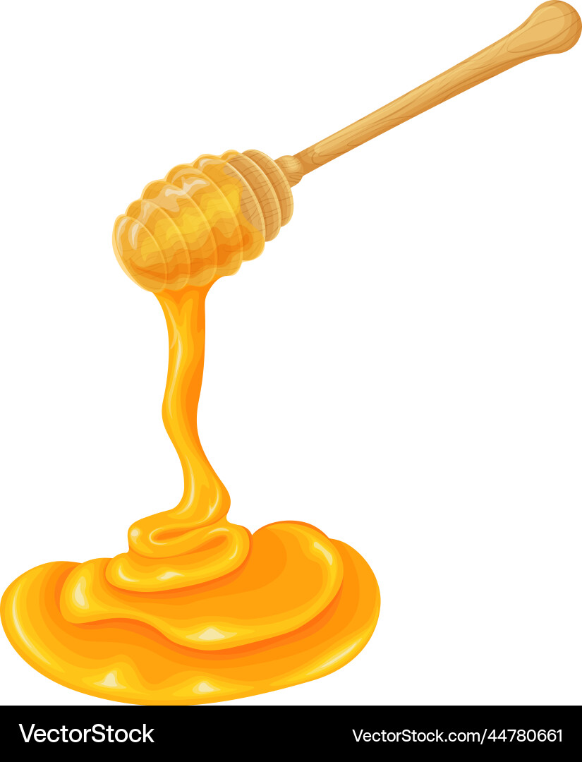 Honey an image of dripping from a Honey an image of dripping from a Vector Image