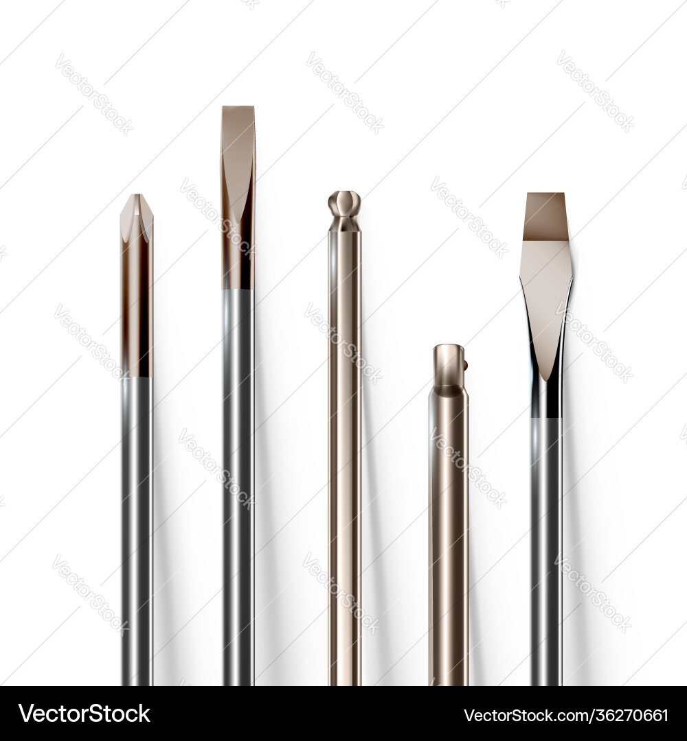 Screwdriver Set - Close-Up Objects Vector Image