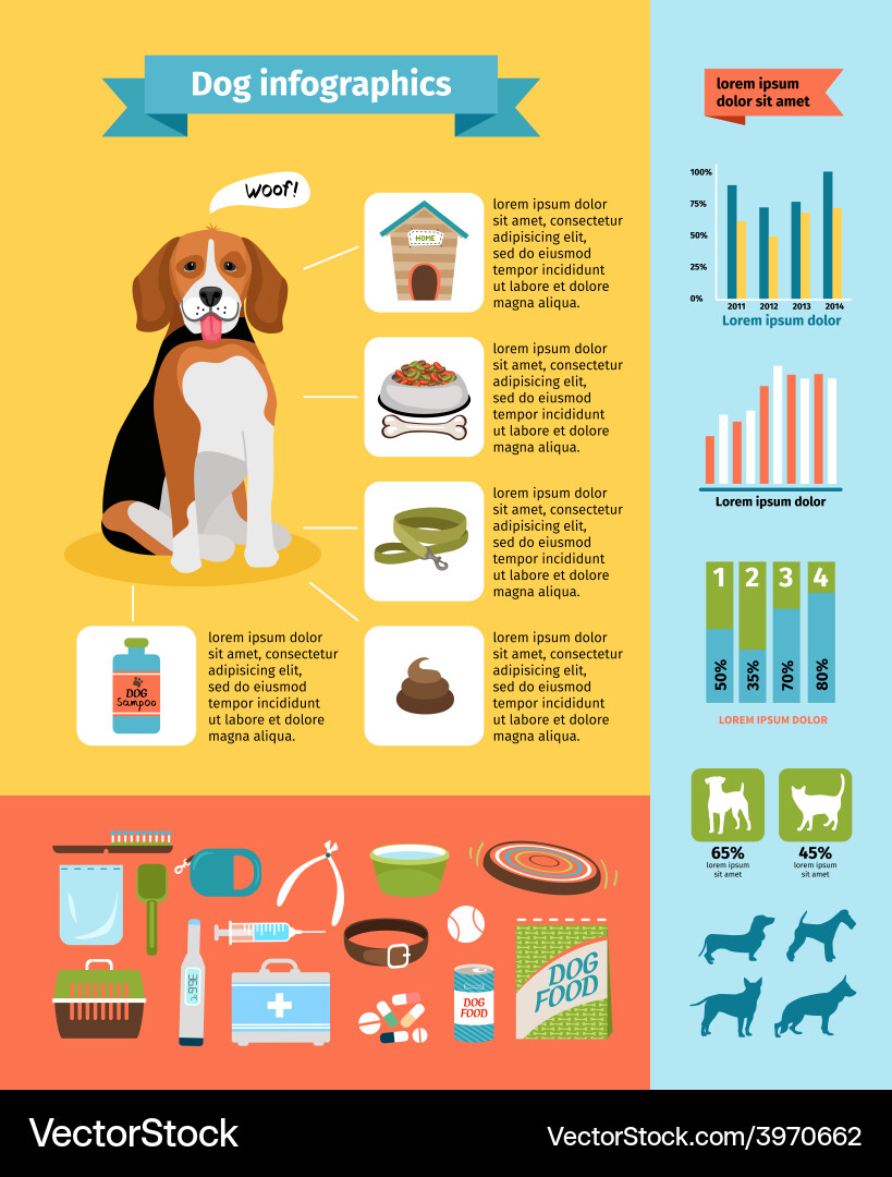 Hundetier Informationen Diagramme vektorbild