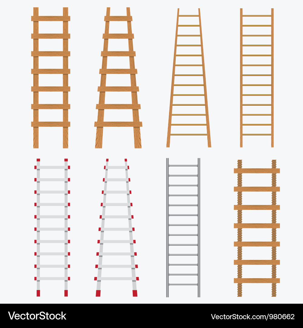 Ladder Set on White Vector Image