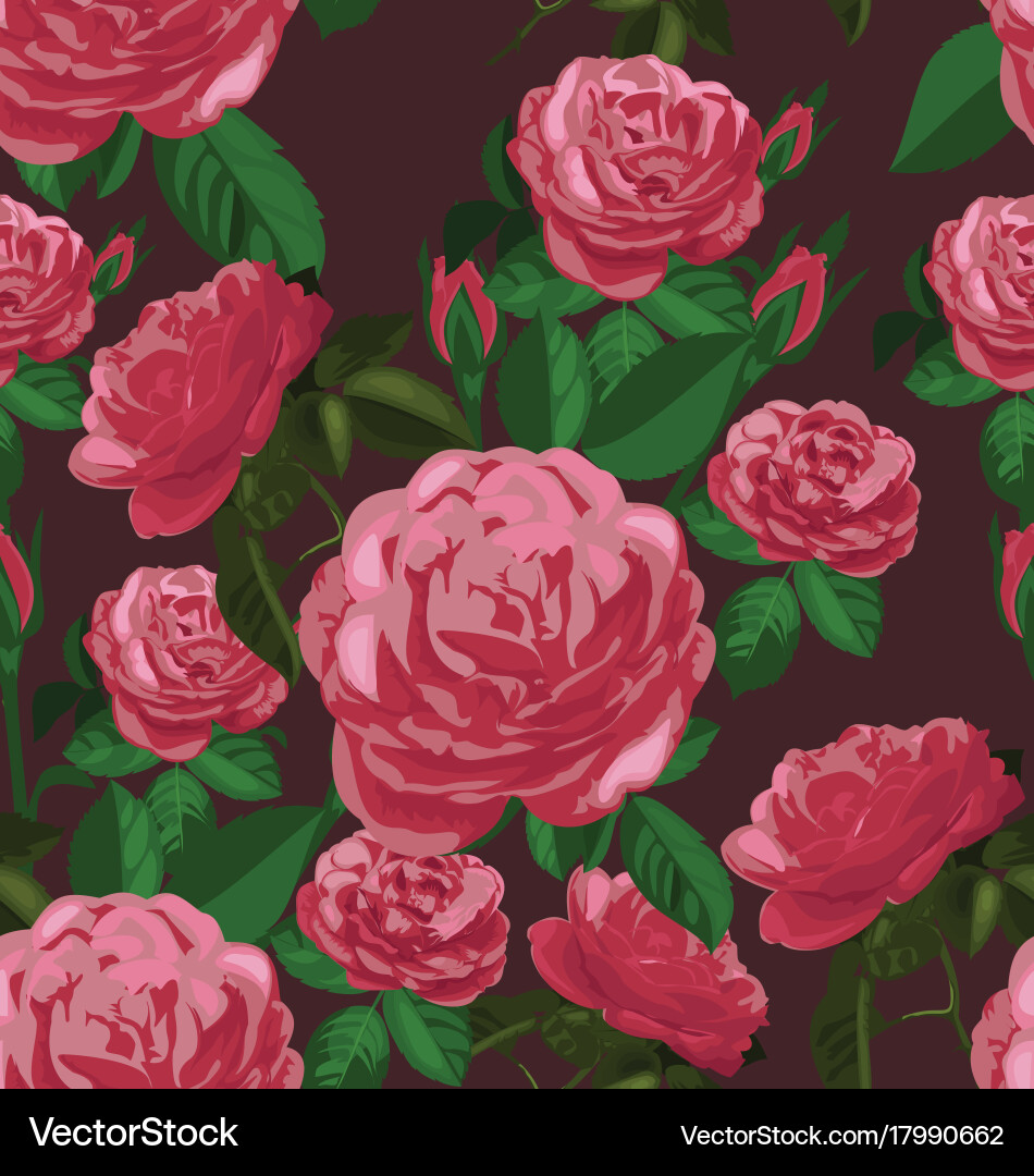 Rose seamless pattern vector image