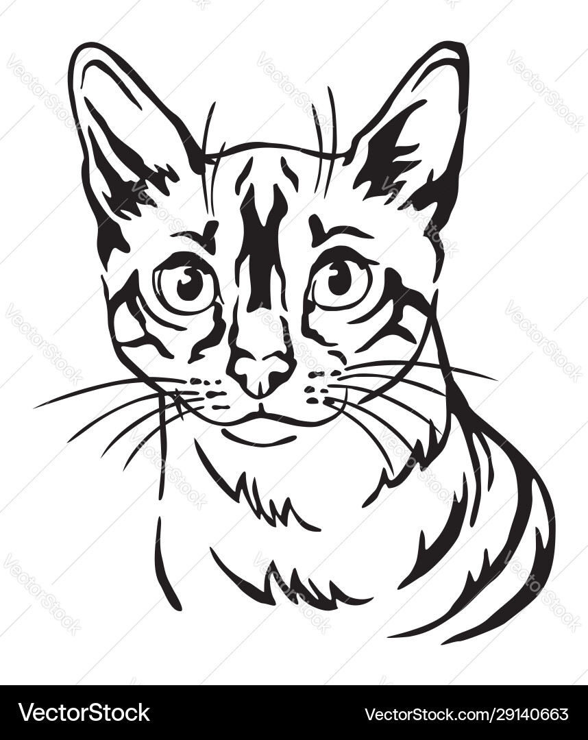 Decorative portrait cat 8 Decorative portrait cat 8 vector image