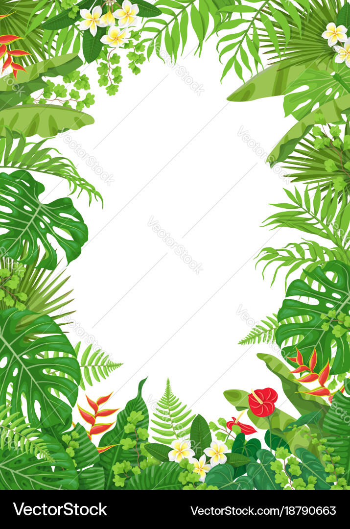Tropical Leaf Frame Vector Image