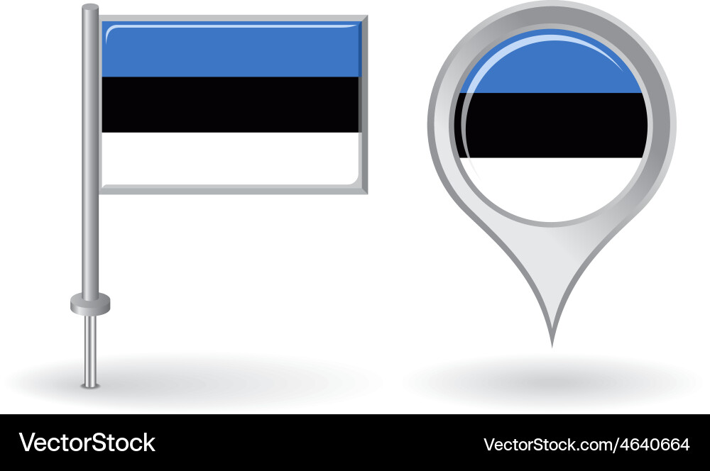 Estonian Flag Pin & Map Pointer Vector Image