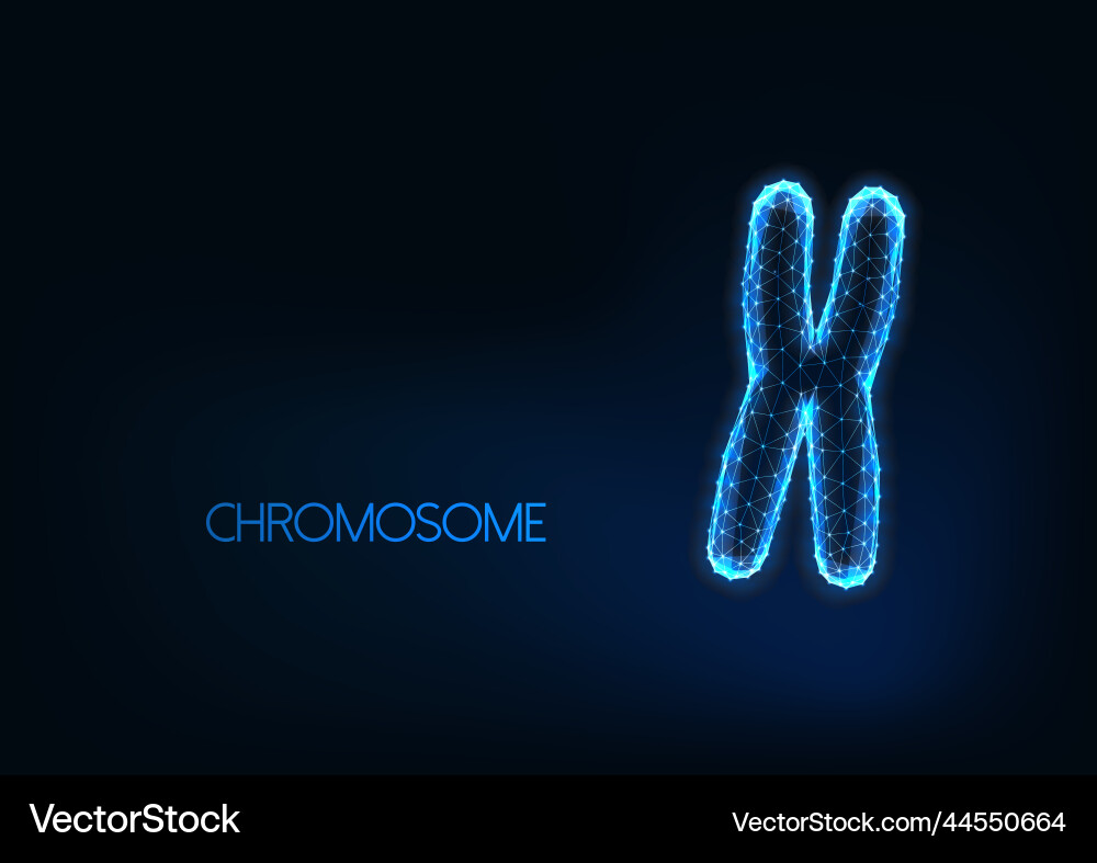 Futuristische glühendes polygonales Chromosom Futuristische glühendes polygonales Chromosom vektorbild