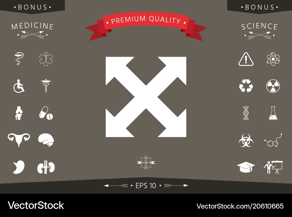Extend resize enlarge icon Extend resize enlarge icon Vector Image