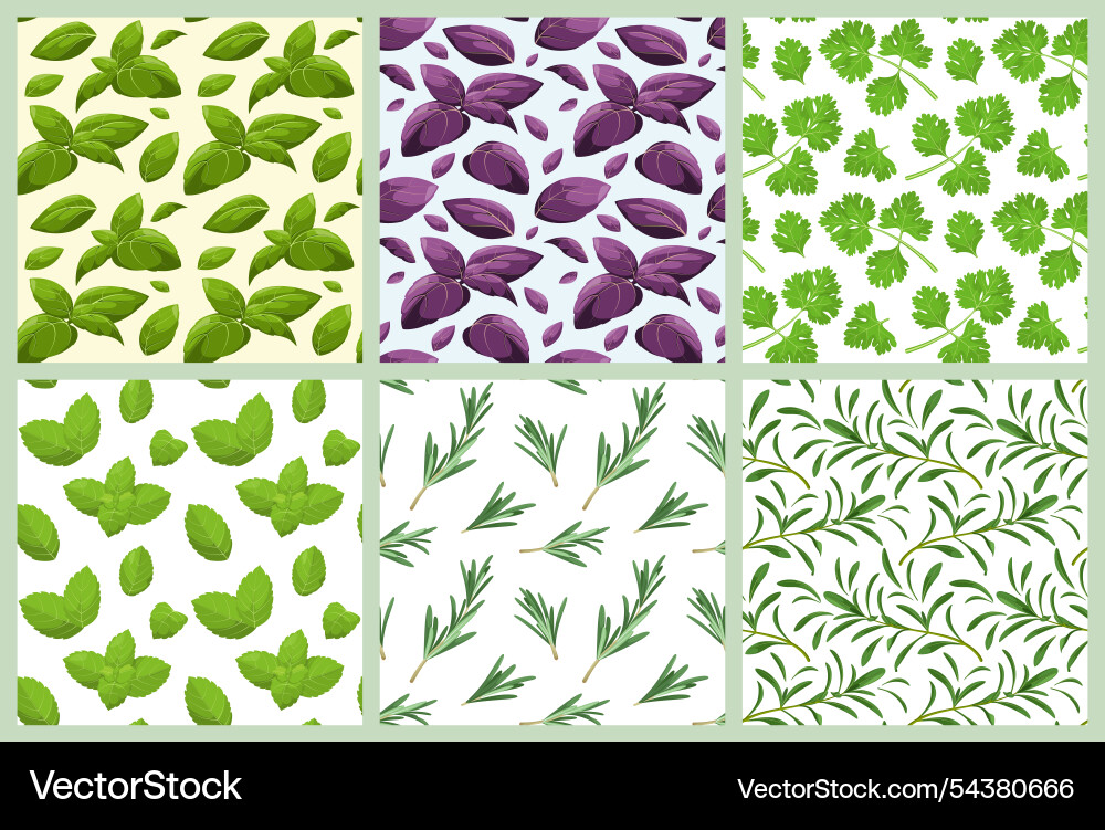 A set of seamless patterns with herbs A set of seamless patterns with herbs vector image