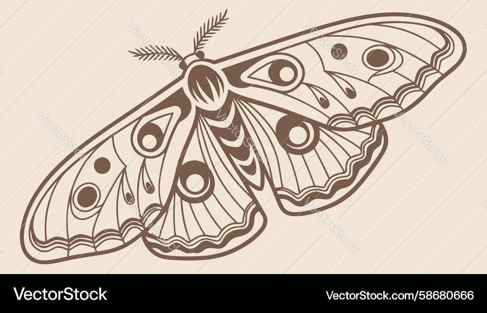 Intricate moth with unique wing patterns design Vector Image