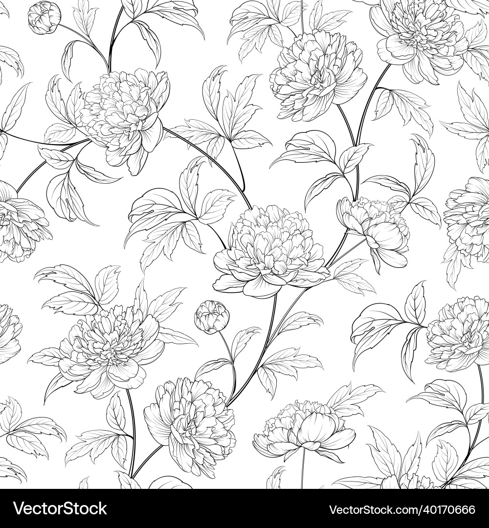 Peony Floral Seamless Pattern Vector Image