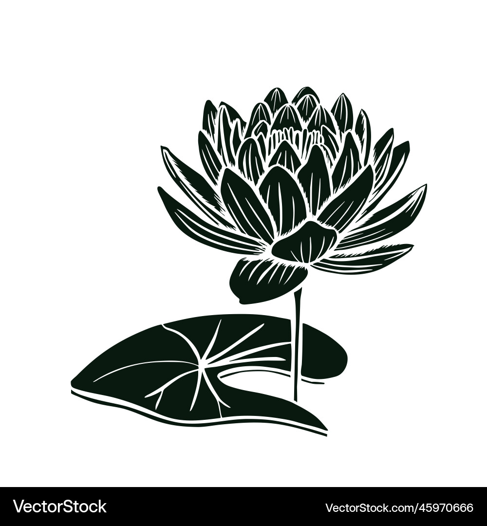 Schöne Lotus Blumen schwarz Silhouette isoliert Schöne Lotus Blumen schwarz Silhouette isoliert vektorbild
