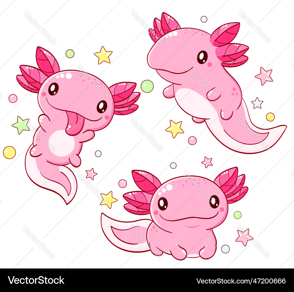 Set of cute fat axolotl in kawaii style Set of cute fat axolotl in kawaii style vector image