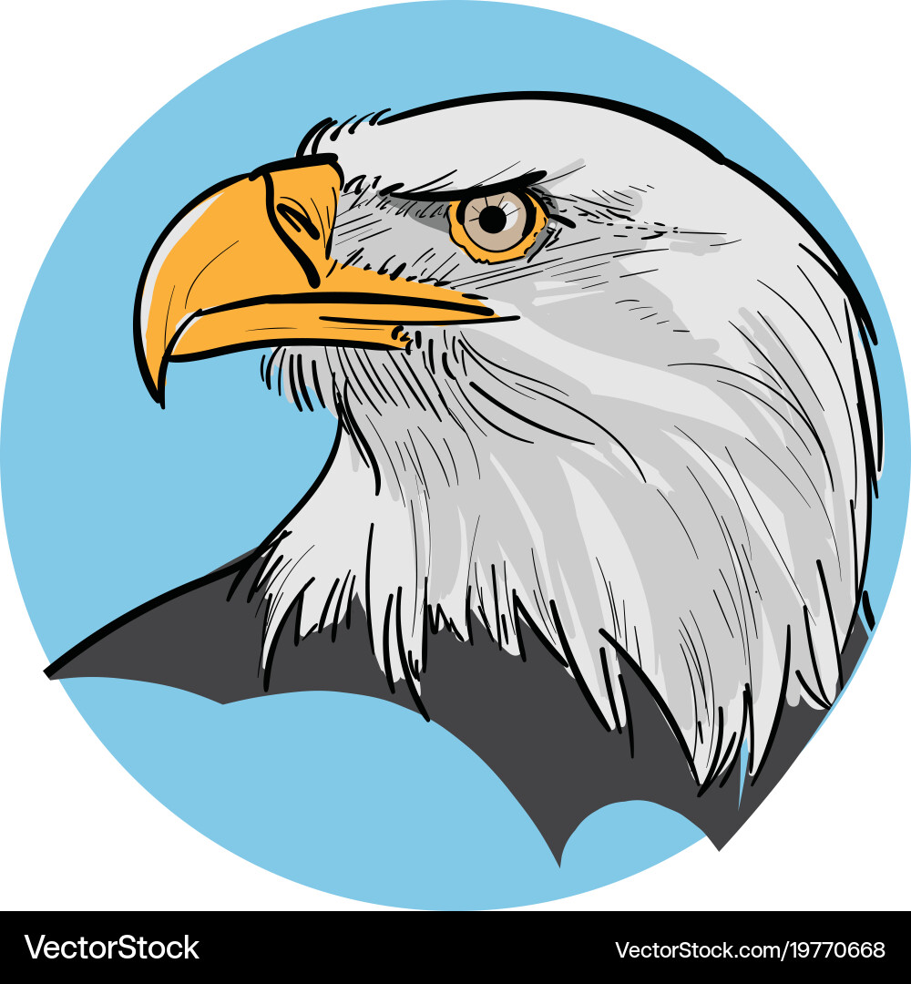Eagle head Royalty Free Vector Image - VectorStock
