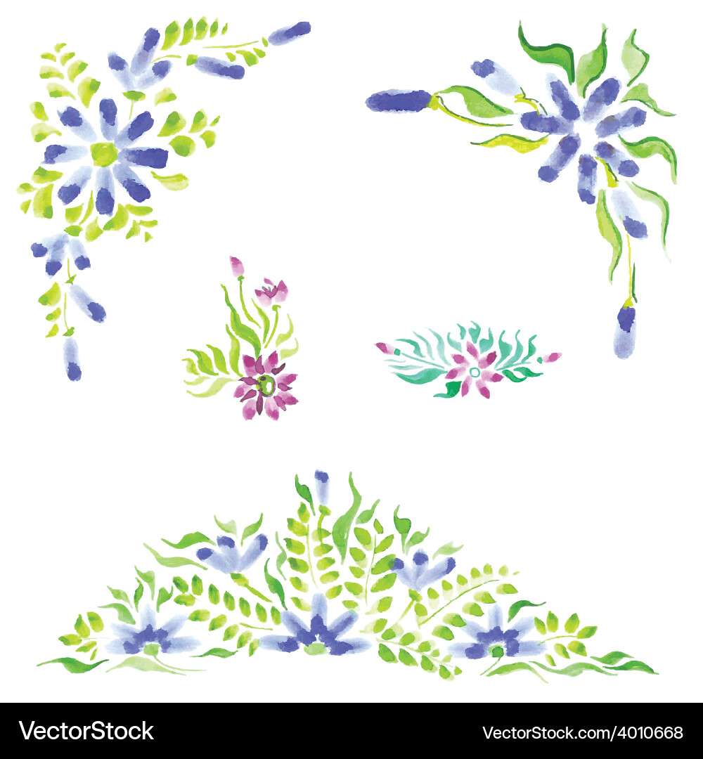 Watercolor Floral Collection Vector Image