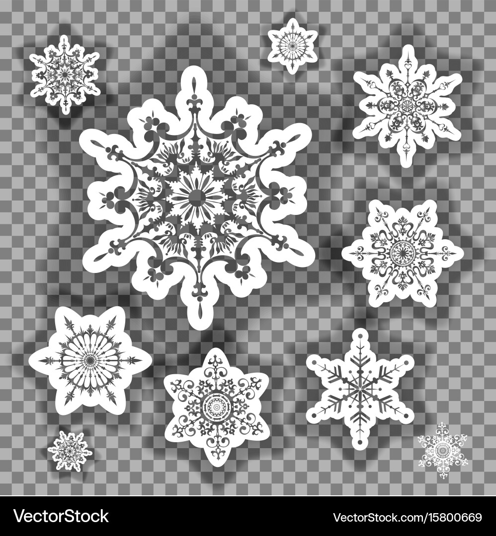 Elegant Snowflake Set vector image