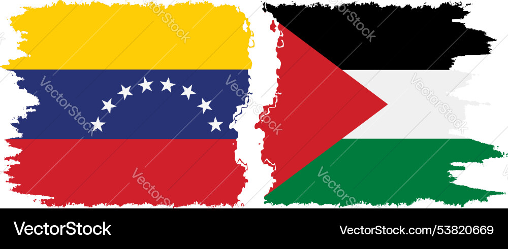 Palästina und venezuela grunge flags verbindung Palästina und venezuela grunge flags verbindung vektorbild