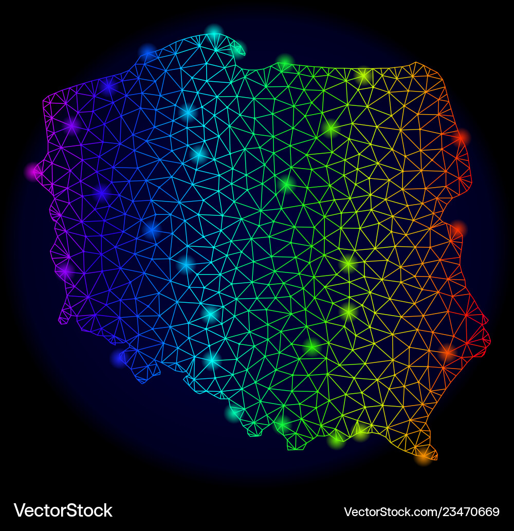Polygonal wire frame spectrum mesh map Vector Image