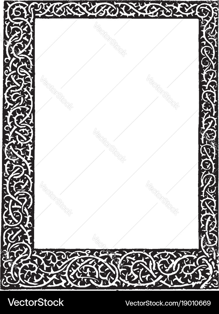 Thorn stem border have scrolls and intertwines vector image