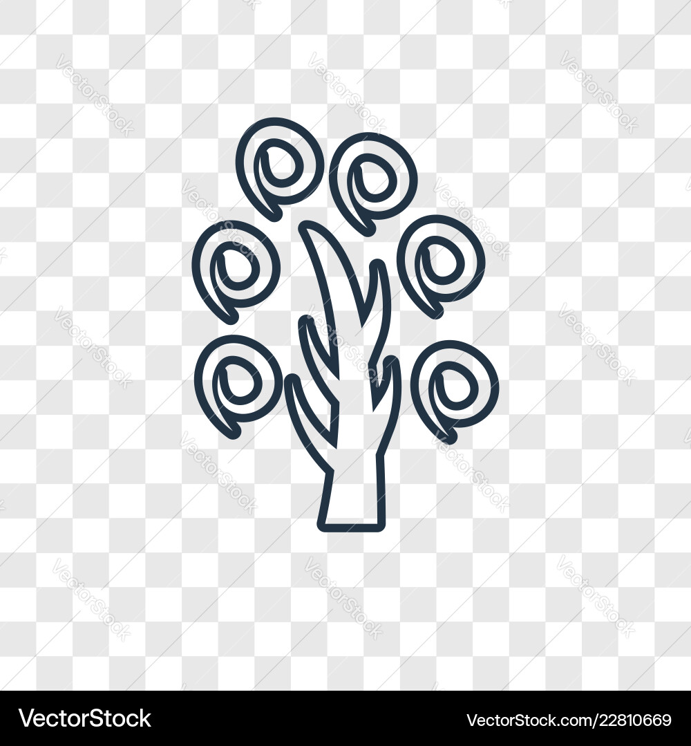 Tree concept linear icon isolated on transparent Tree concept linear icon isolated on transparent vector image
