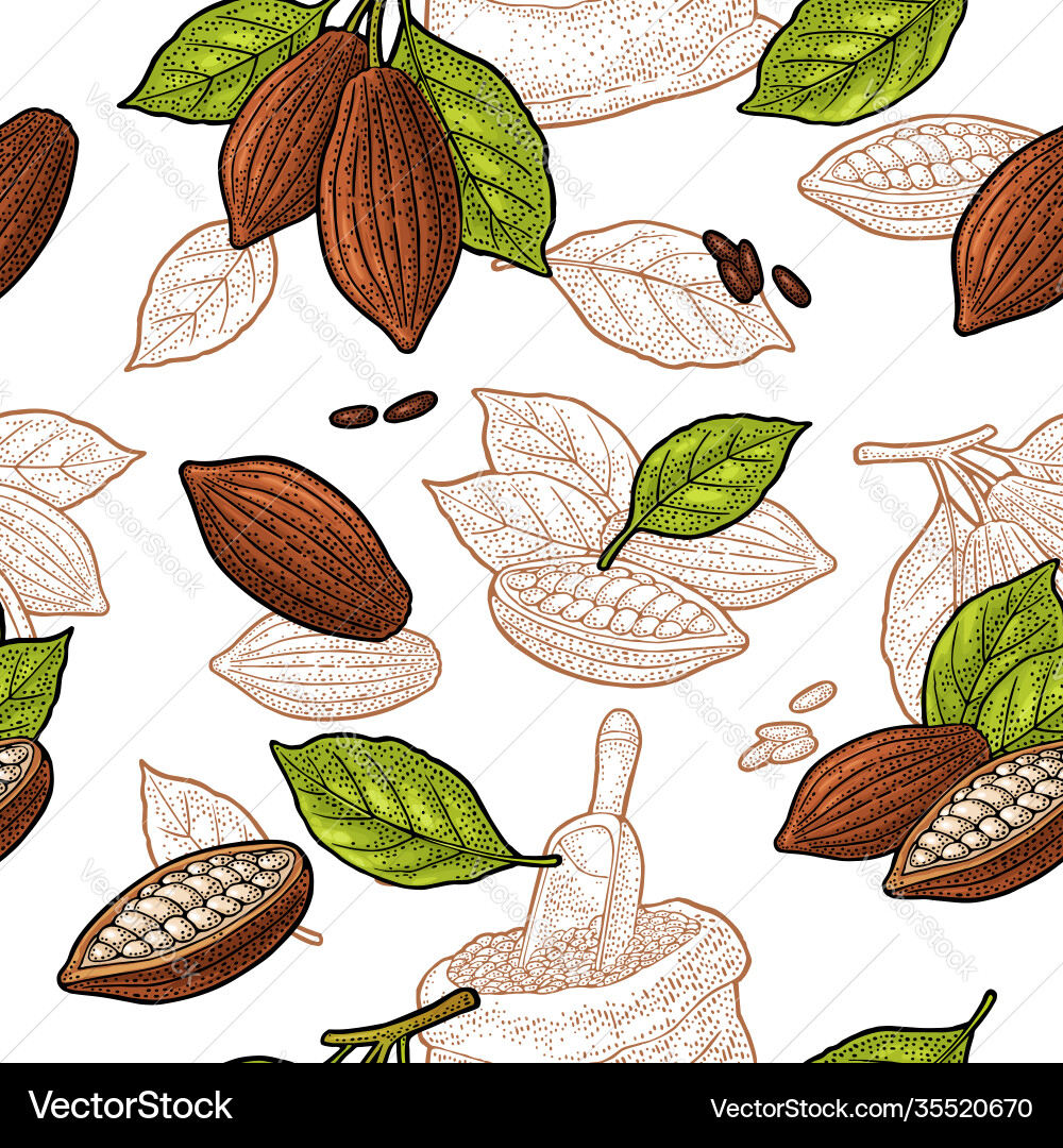 Seamless pattern with leaves and fruits cocoa Seamless pattern with leaves and fruits cocoa vector image