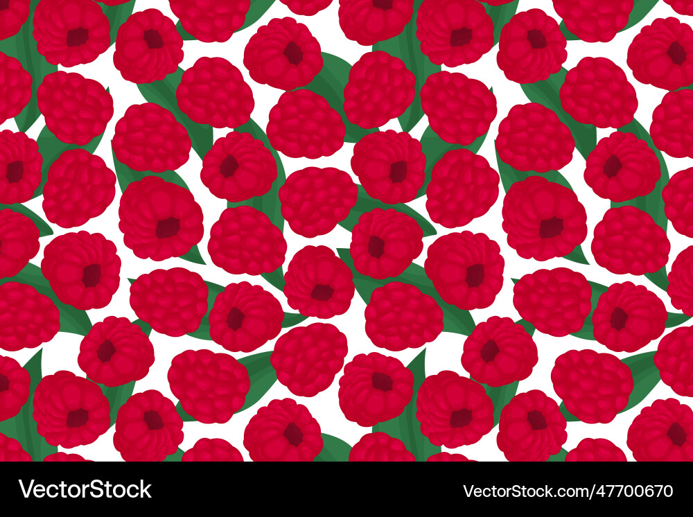 Seamless pattern with raspberries Seamless pattern with raspberries vector image