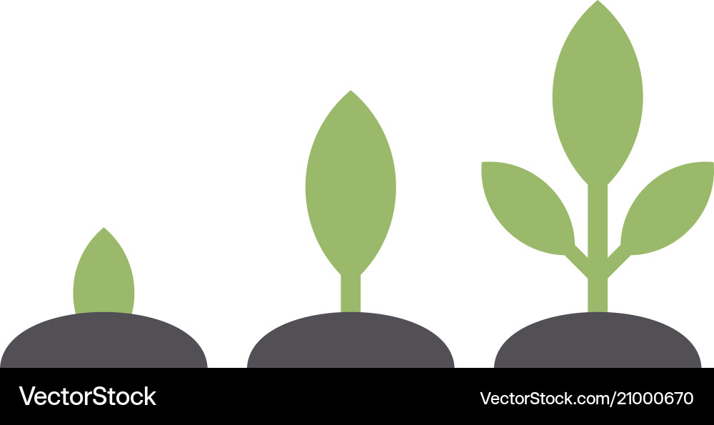 Seed Sprout Growing in Soil vector image