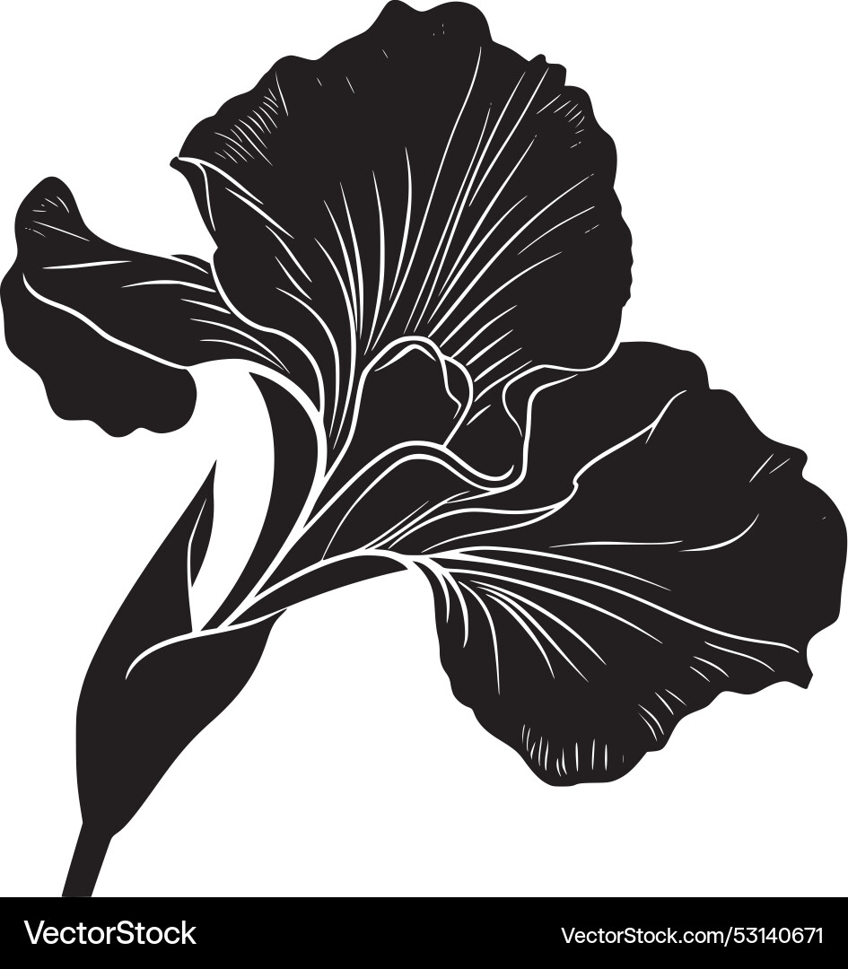 Flower Royalty Free Vector Image - VectorStock